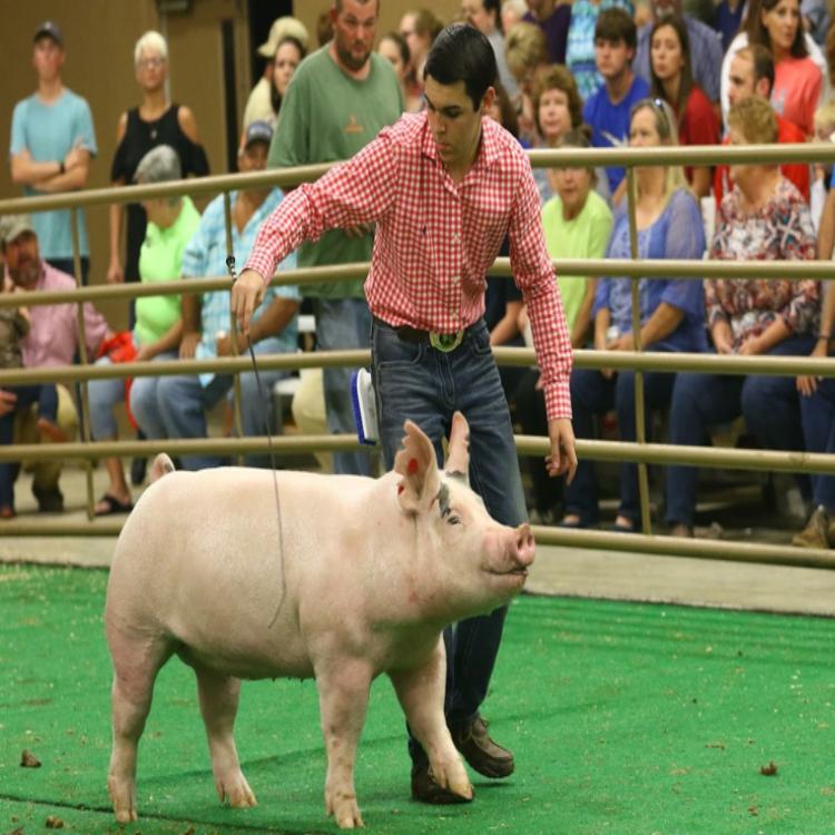 Meet Clay Parker, State FFA Secretary